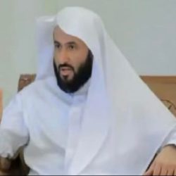 مدني المدينة يحتفي بتخريج (343) فردًا من الدورة التأهيلية على أعمال الدفاع المدني ..