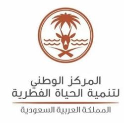 الكابتن” أحمد عيد” يرد على تصريحات “فينغادا”: هناك مغالطات ولم يذكر الحقيقة الكاملة