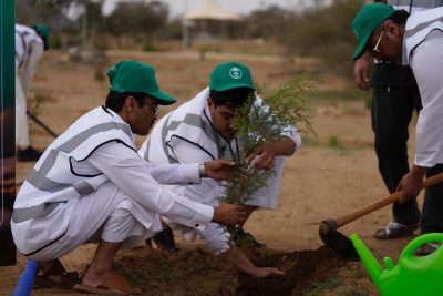 بمناسبة يوم “السعودية الخضراء”.. 10 مليارات شجرة حلم يتحقق