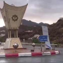 الفريح يطالب إدارة المنتخب بمعاقبة ثلاثي الفريق “البليهي وكنو والشهراني”