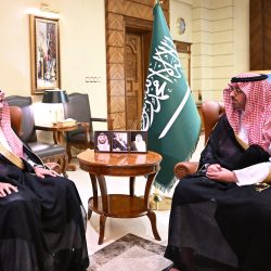 “الزميلة أميرة المغامسي “تحصل على الشهادة المهنيّة من الهيئة العامة لتنظيم الإعلام