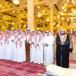 “بيئة العاصمة المقدسة” تكثف جهودها الرقابية على الأسواق والمسالخ..