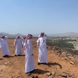 ” بيئة الطائف” تحتفي بيوم النحل العالمي..
