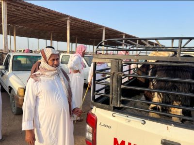 عدسة “خبر عاجل”تتجول داخل أسواق الأنعام بالسويق بينبع النخل وسوق محافظة ينبع وتتعرف على أسعار الأضاحي.. 