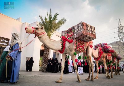 “قافلة الإبل” تجوب بالزوار في صيف حراء الثقافي..
