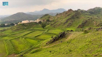 الأخضر يكسو القطاع الجبلي بجازان في أجواء خلابة تستقطب المتنزهين..