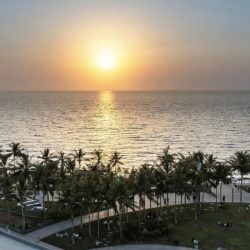 انطلاق قافلة التنميّة الرقميّة المتنقلة لخدمة المجتمع في 42 مركزاً بالباحة غداً