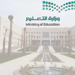 Decoding the Hidden Strategies Behind Everyday Choices