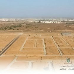 معرض “نبض الفن” يختتم فعالياته: رحلة فريدة من الأصالة إلى الابتكار