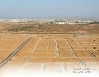 اللائحة التنفيذية لرسوم الأراضي البيضاء: أربع شرائح.. الأعلى 10% والأدنى 2.5%