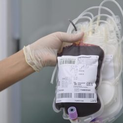 اللائحة التنفيذية لرسوم الأراضي البيضاء: أربع شرائح.. الأعلى 10% والأدنى 2.5%