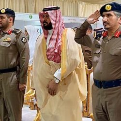 صدور قرار بتعيين المهندس ماجد آل خليف وكيلاً لوزارة البيئة والمياه والزراعة لخدمة المستفيدين وشؤون الفروع