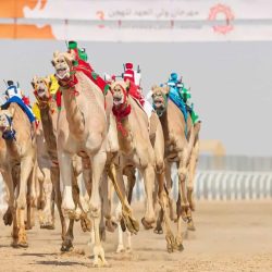 جامعة الأعمال تسجّل أول براءة اختراع في امريكا في مجال النانو والذكاء الاصطناعي لخدمة مرضى السكري