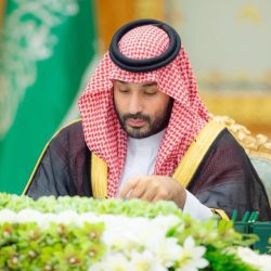 الفروع والمكاتب والمؤسسات التابعة لفرع الموارد البشرية والتنمية الاجتماعية بحائل تختتم احتفاءها باليوم الوطني 95..