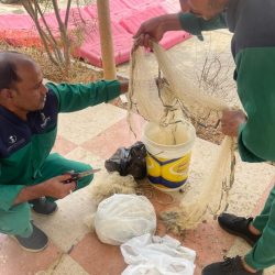 مدير عام تعليم الطائف يلتقي وفد“هدف” لبحث تعزيز مبادرة الإرشاد المهني بالمدارس