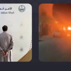أمير المدينة يستقبل وزير السياحة..
