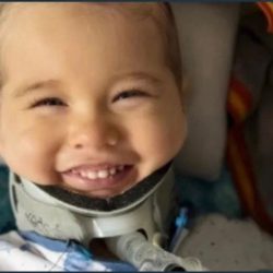 بالفيديو : سمو أمير منطقة جازان يرعى معرض الأولمبياد الوطني للإبداع العلمي “إبداع جازان 2026″…  بالفيديو : سمو أمير منطقة جازان يرعى معرض الأولمبياد الوطني للإبداع العلمي “إبداع جازان 2026″…