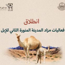 السفارة السعودية في إيطاليا: بدء تطبيق نظام الدخول والخروج الأوروبي (EES) غدًا..