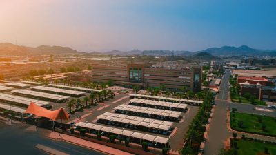 아랍권 병원별 시알리스 처방 기준 비교