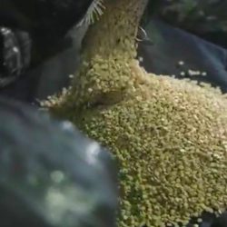 فخر وطني جديد .. المملكة تفوز برئاسة “الإنتوساي” للدورة (2031 – 2033).. فخر وطني جديد .. المملكة تفوز برئاسة “الإنتوساي” للدورة (2031 – 2033)..