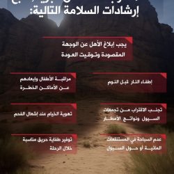 وزارة الخارجية: تحركات عسكرية في حضرموت والمهرة تمت دون تنسيق وأضرت باليمن