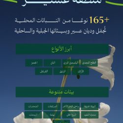 طلاب وطالبات تعليم الطائف يتجاوزون المستهدفات واستثمار واعد في عقول المستقبل.