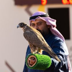 رئاسة الشؤون الدينيّة بالمسجد الحرام والمسجد النبوي تحدد الجدول الأسبوعي لأئمة الحرمين الشريفين للأسبوع الحالي