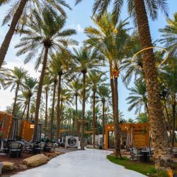 جمعيّة الأيتام” بوادي حلي” تختتم أولمبياد التفوق العلمي على مستوى المملكة، بحضور محافظ القنفذة”