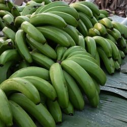 المسرح في جازان.. حراك يتصاعد ورؤية تستشرف صناعة المشهد الثقافي